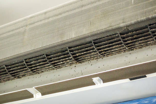 Best Duct Cleaning for Offices  in Colby, KS